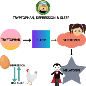 Tryptophan, Depression and Sleep