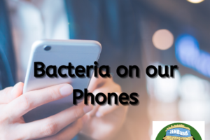 Bacteria on Our Phones