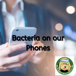 Bacteria on Our Phones